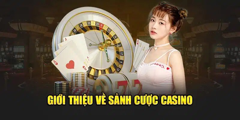 Tìm hiểu đôi nét cơ bản về cổng game Casino 77bet